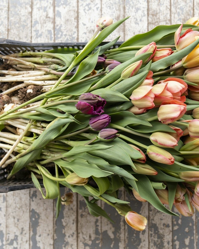A flower stall with buckets of fresh flowers