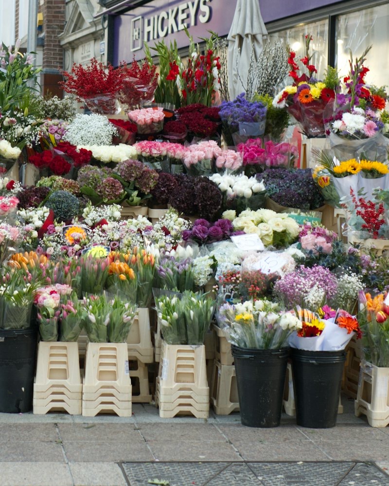 Tulips at a florist